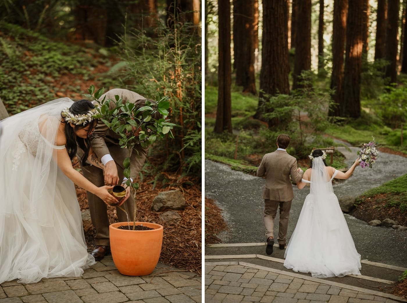 Tree planting ceremony at a Central California wedding