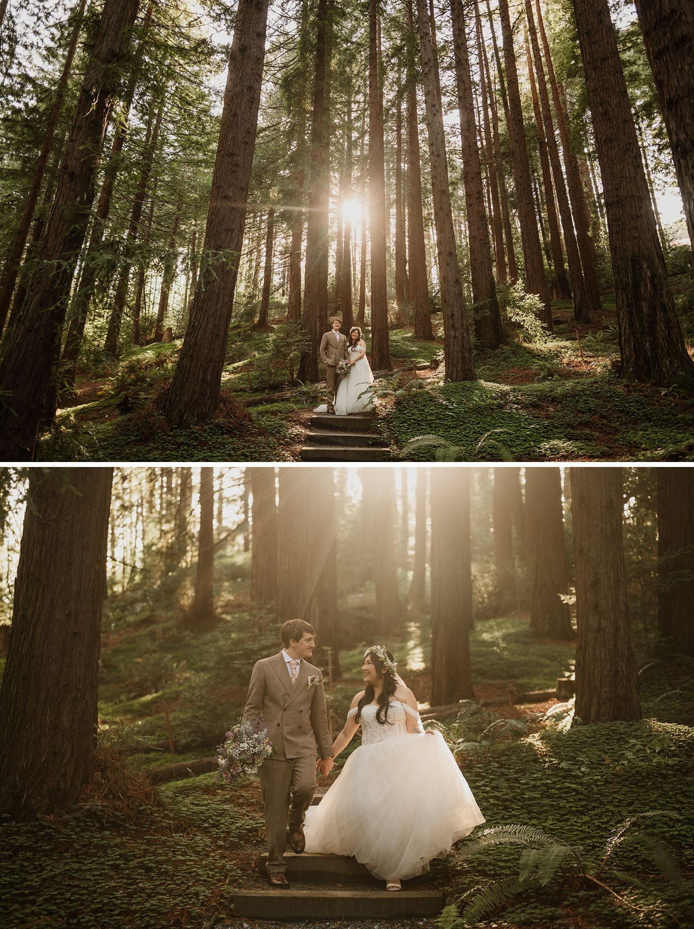 Redwood forest bridal portraits in Central California