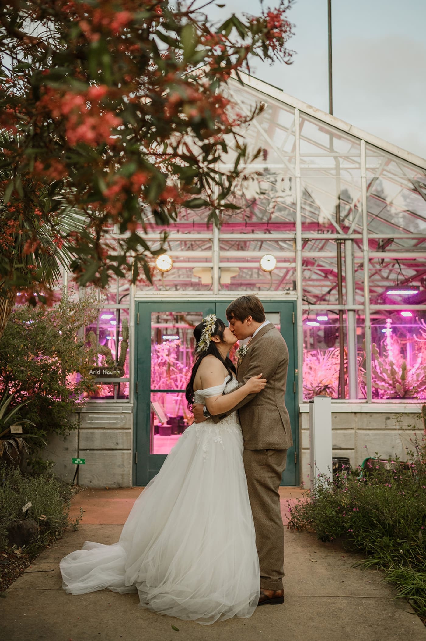 Bridal portraits at the UC Botanical Garden