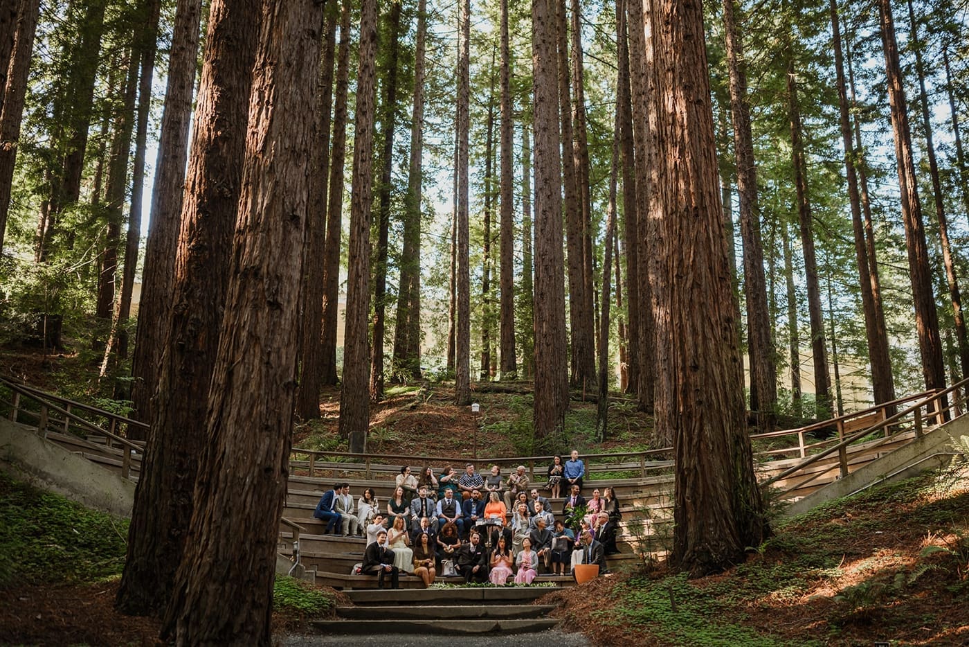 Wedding guests seated in the Mather Redwood Grove & Amphitheater at the UC Botanical Garden